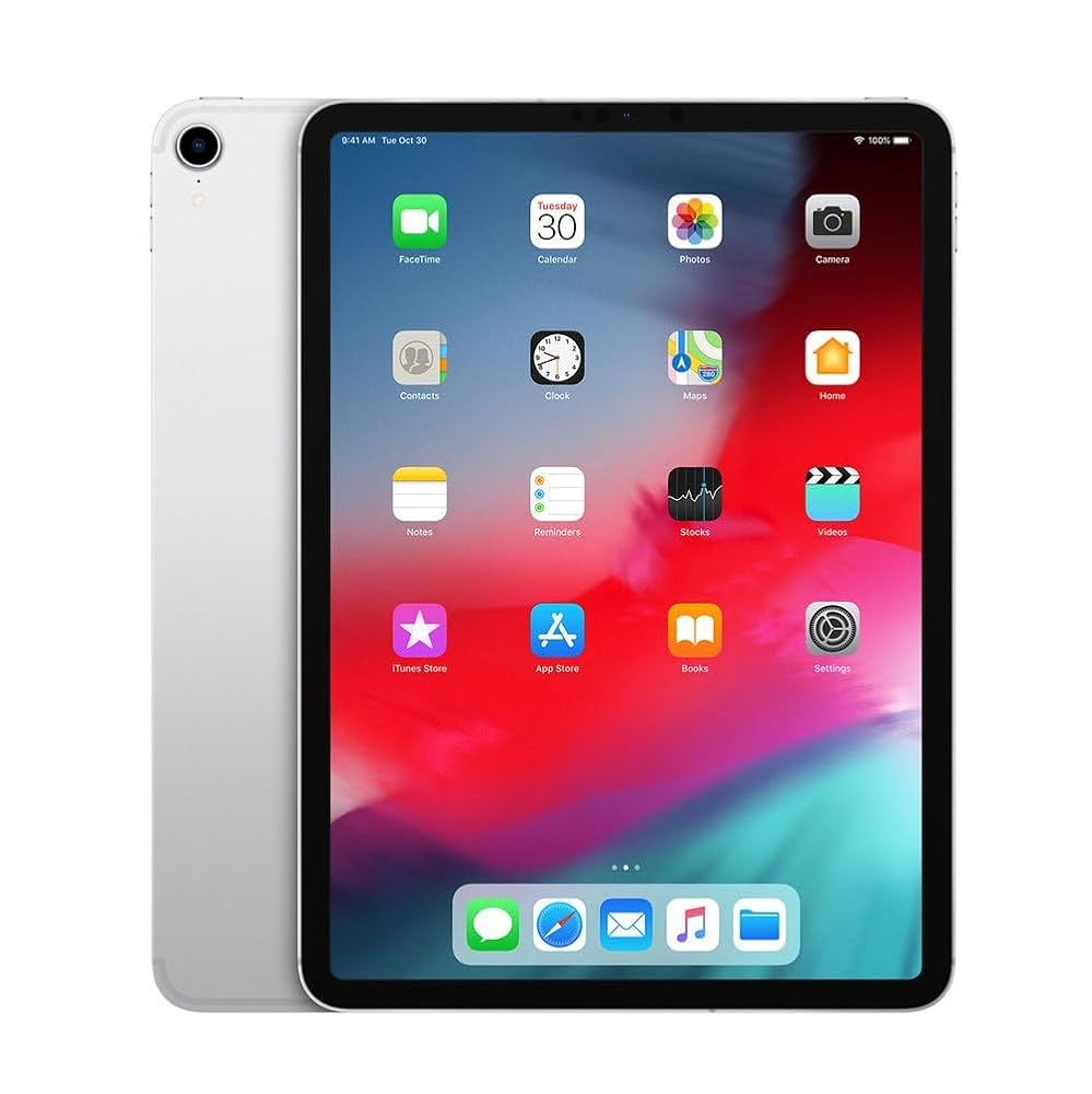 Apple iPad Pro 11" 1st Gen (2018) 512GB WiFi